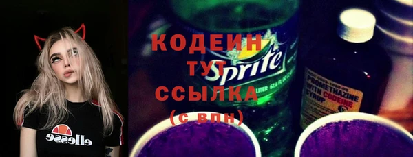 твердый Елизово