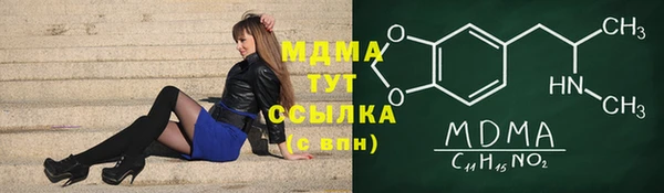 mdpv Ельня