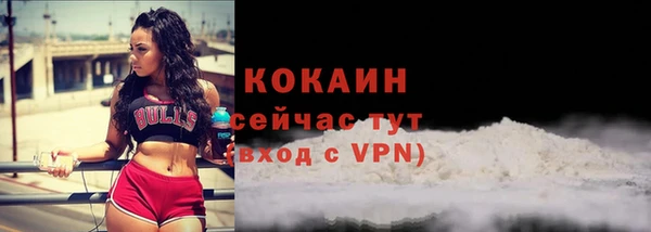 mdpv Ельня
