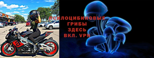 mdpv Ельня
